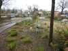 20250420143100-DSCN7611.JPG