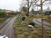 20250420143114-DSCN7614.JPG