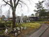 20250420143124-DSCN7616.JPG