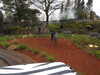 20250420143129-DSCN7617.JPG