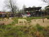 20250420143147-DSCN7621.JPG
