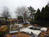20250420143722-DSCN7632.JPG