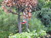 20250420143841-DSCN7639.JPG