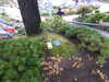 20250420144000-DSCN7644.JPG
