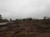 20250420144648-DSCN7650.JPG