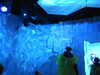 20250420145821-DSCN7666.JPG