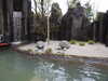 20250420152554-DSCN7696.JPG