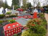 20250420155226-DSCN7729.JPG