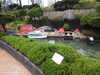 20250420155414-DSCN7737.JPG