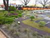 20250420162159-DSCN7854.JPG
