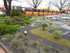 20250420162201-DSCN7855.JPG