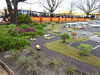 20250420162202-DSCN7856.JPG